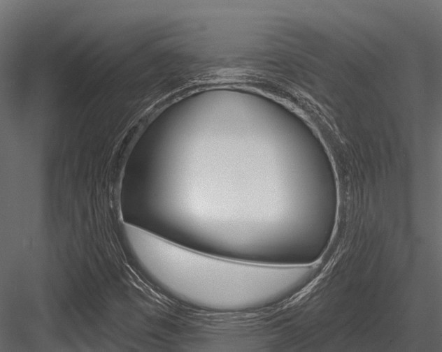 X0000084561449200702230949