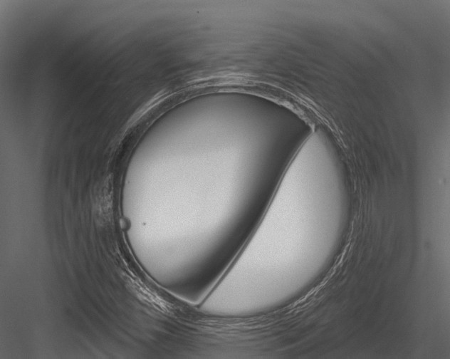 X0000084561450200702230949