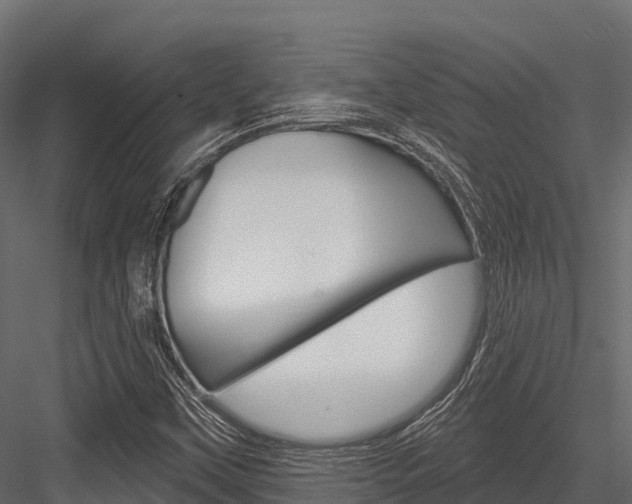 X0000084561451200702230949