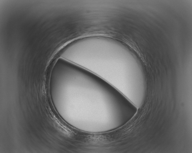 X0000084561452200702230949