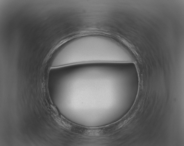 X0000084561453200702230949