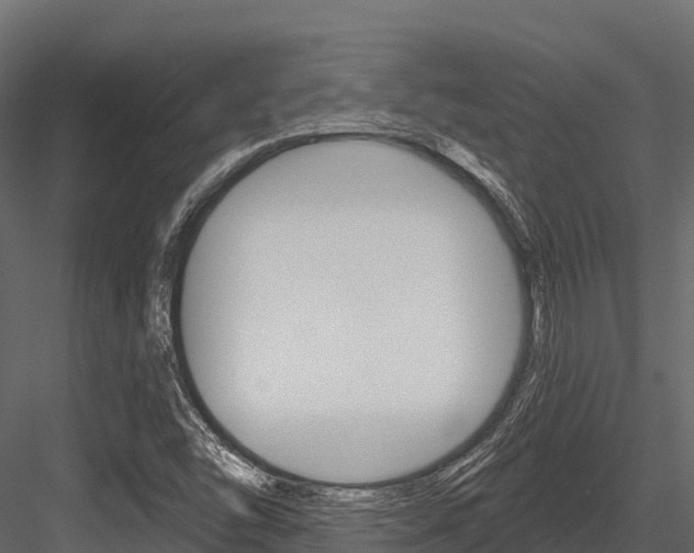 X0000084561454200702230949