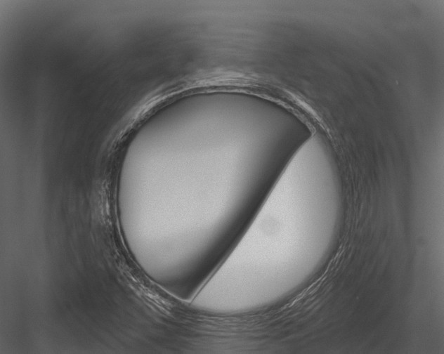 X0000084561455200702230949