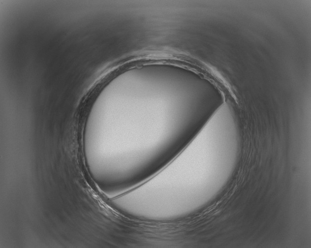 X0000084561456200702230949