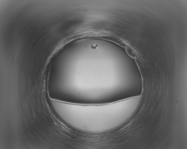 X0000084561459200702230949