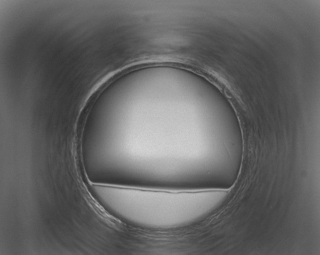 X0000084561460200702230949