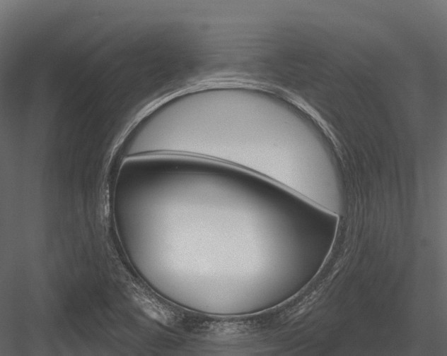 X0000084561461200702230949