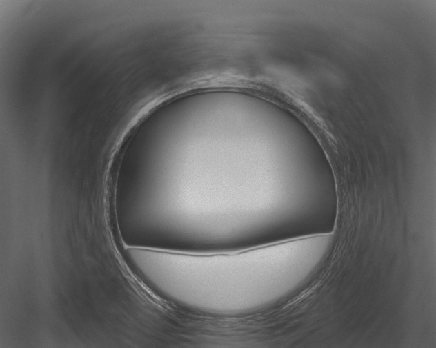 X0000084561463200702230949