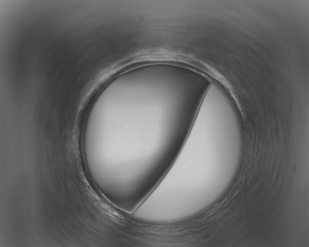X0000084561464200702230949