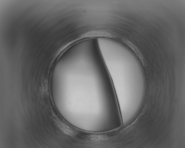 X0000084561465200702230948