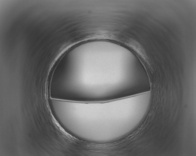 X0000084561468200702230948