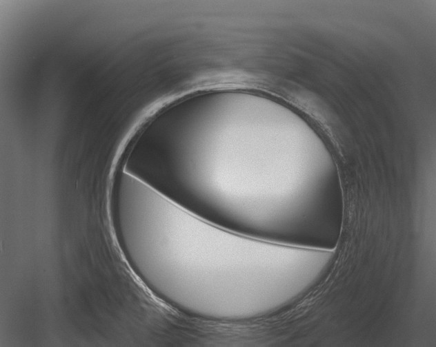 X0000084561472200702230948