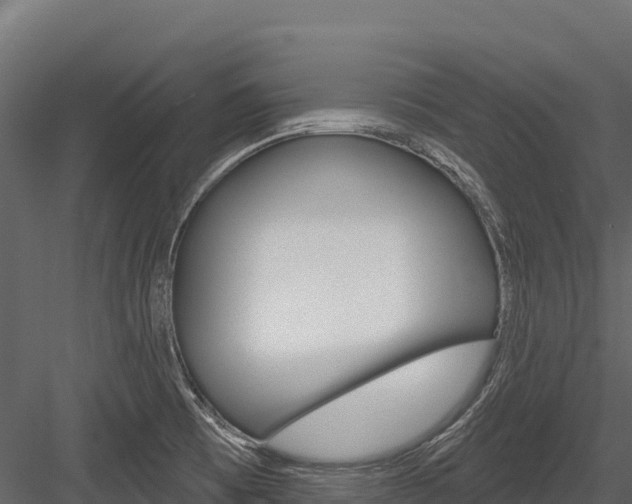 X0000084561473200702230948