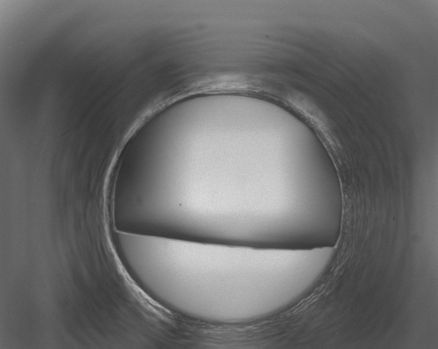 X0000084561475200702230948