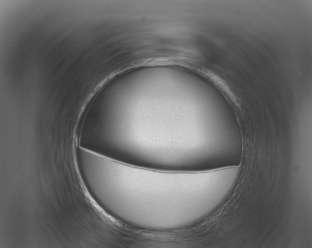 X0000084561476200702230948