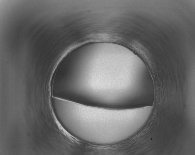 X0000084561479200702230948