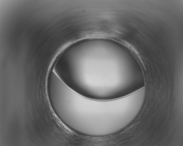 X0000084561480200702230948