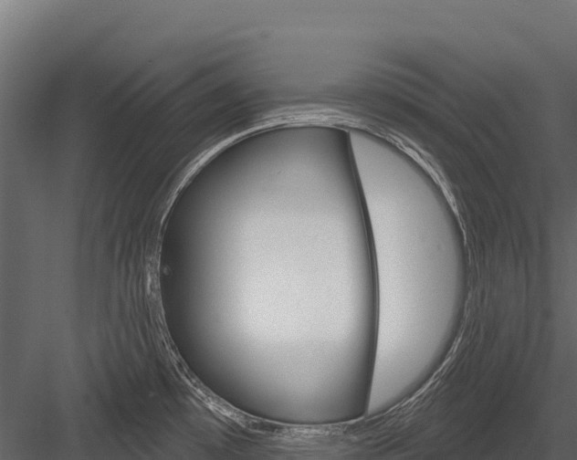 X0000084561481200702230948