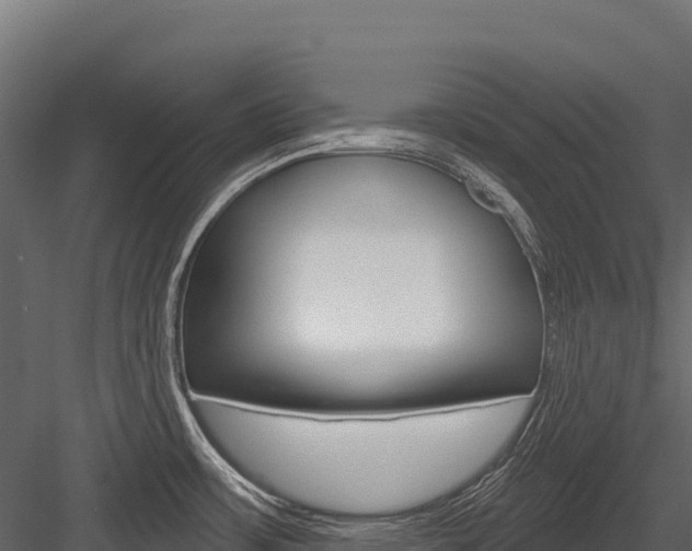 X0000084561483200702230948