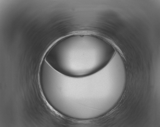 X0000084561484200702230948