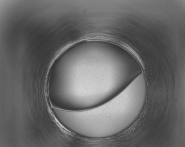 X0000084561485200702230948