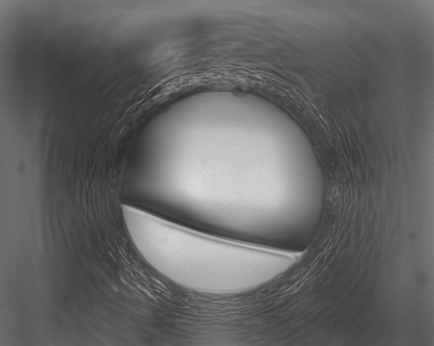 X0000084561490200702230947