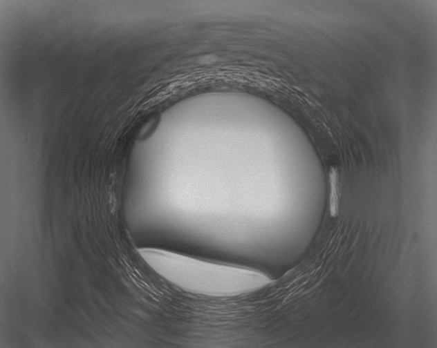 X0000084561491200702230947