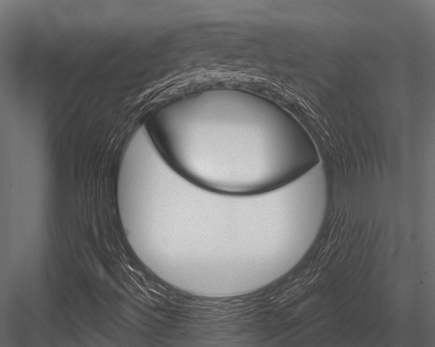 X0000084561492200702230947