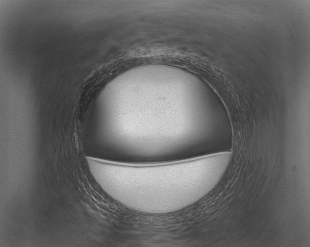 X0000084561493200702230947