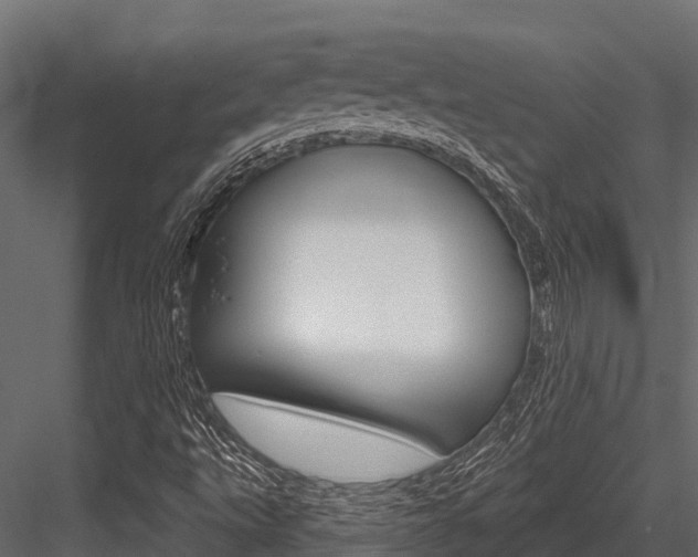 X0000084561495200702230947