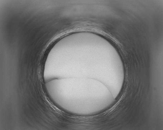 X0000084561498200702230947