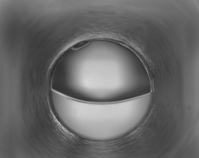 X0000084561500200702230947