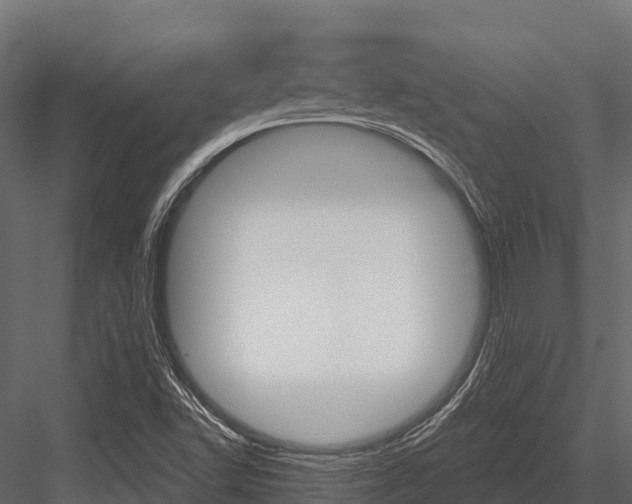 X0000084561502200702230948