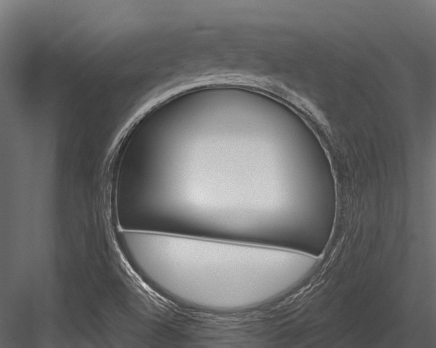X0000084561504200702230948