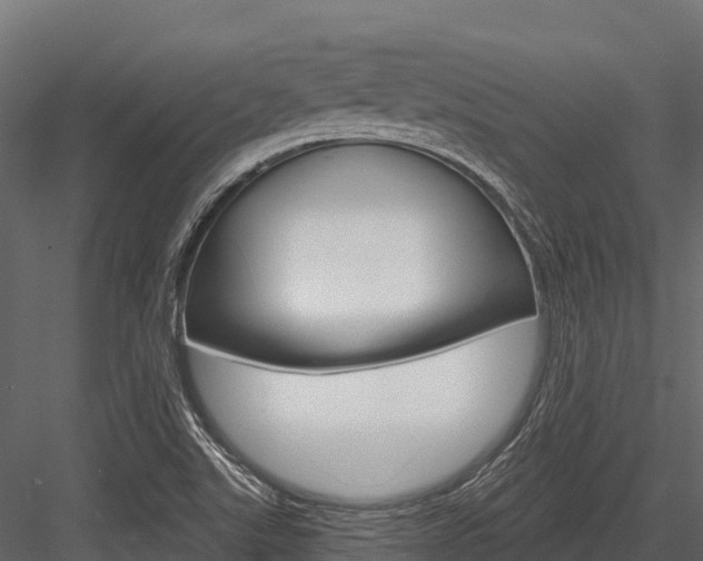 X0000084561507200702230948