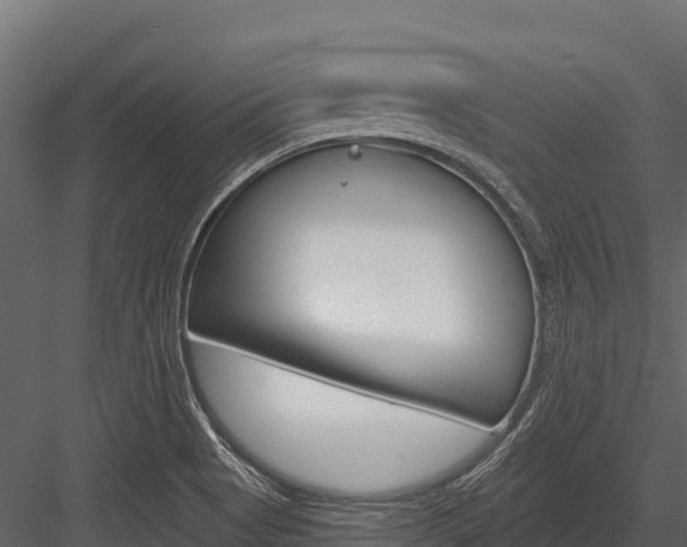 X0000084561513200702230948
