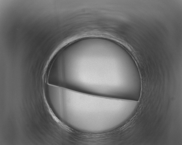 X0000084561515200702230948