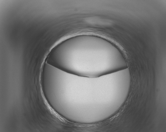 X0000084561526200702230948