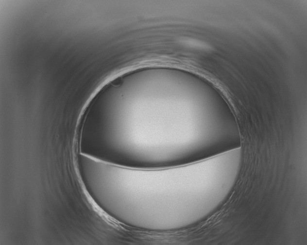 X0000084561531200702230948