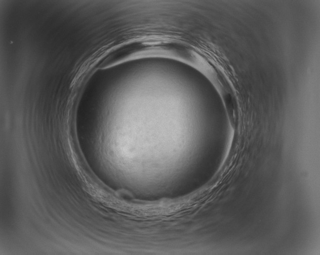X0000084560001200702231244