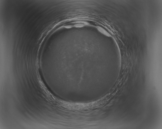 X0000084560002200702231244