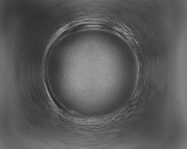 X0000084560003200702231244