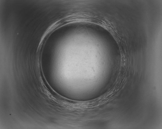 X0000084560004200702231244