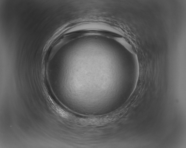 X0000084560005200702231244