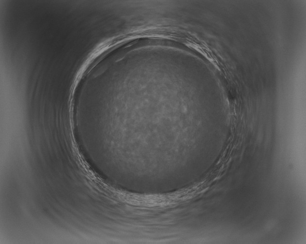 X0000084560006200702231244