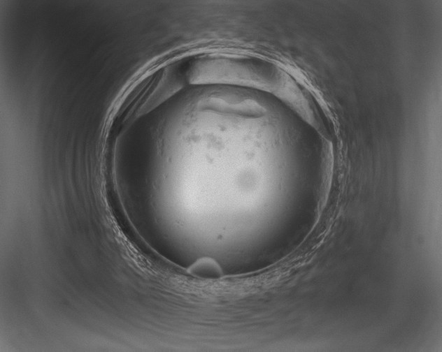 X0000084560007200702231244