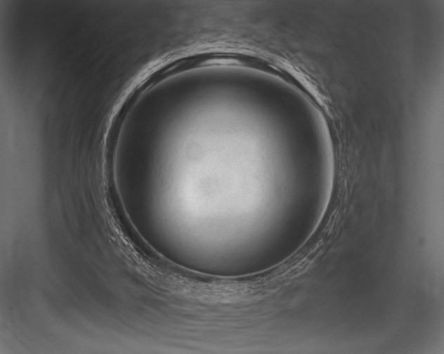 X0000084560008200702231244