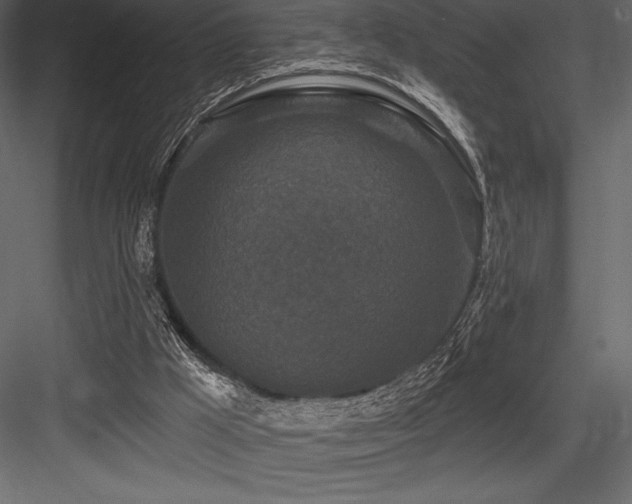 X0000084560009200702231244