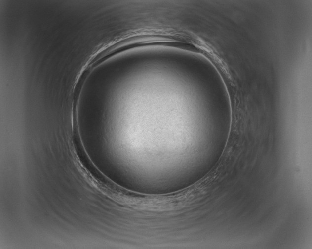 X0000084560011200702231244
