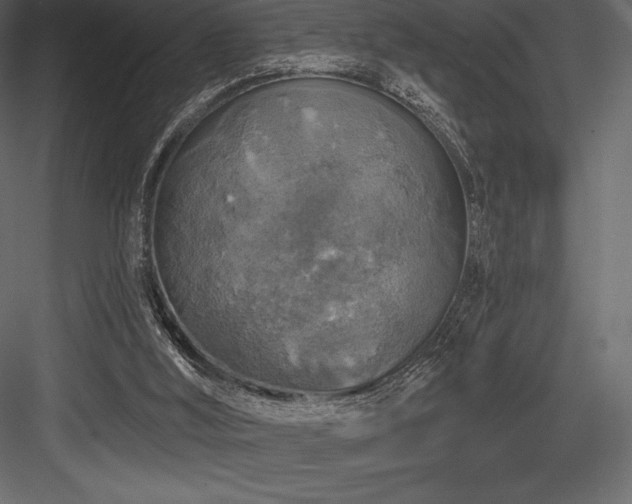 X0000084560012200702231244
